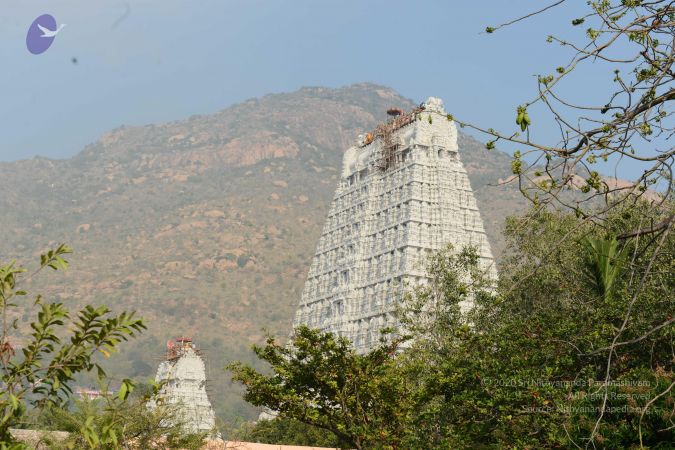 20170206 Photo 1124 1-zzq8veyN8kFZmf-8sX3DXNJU2fDNIQ6.JPG