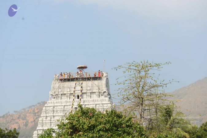 20170206 Photo 1133 13LwWzPJclJdG3G8fWLdWX2XIPKGqK19d.JPG