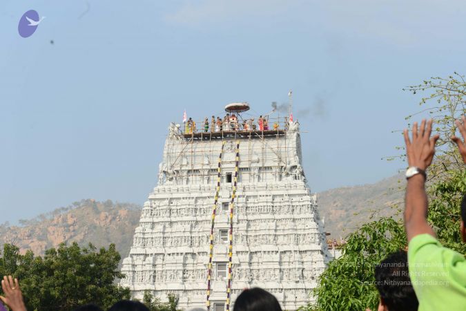 20170206 Photo 1139 15Kat 8O3NDZk5dFR UKBV6NBphP0F5TJ.JPG