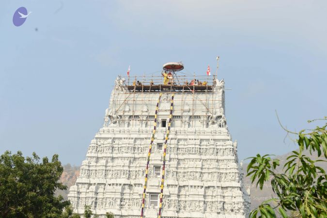 20170206 Photo 1151 17SXzDArnvEwMphSz8NyeHeI9e-CU64il.JPG