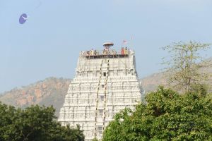 20170206 Photo 262 1yFWipY6J41VfP7SZyVSeijsiWLkD Keo.jpg