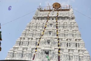 20170206 Photo 323 1PiC4ySVy7UNDPByHzfc8mQOh0XEVSn9N.jpg