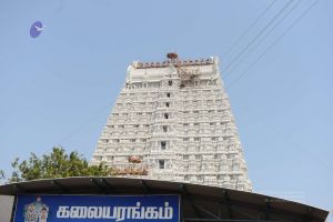 20170206 Photo 325 1DuJZIdAtL-szTIR50hcHRgWFKJHOhhrG.jpg