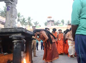 20170206 Photo 333 1F7-3DspOd-gh3QwTgrmai6NI4XtqsRrz.jpg