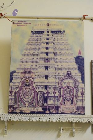 20170206 Photo 365 1Q270yZ0phRrq967GalUxZRR4HWrtP08X.jpg