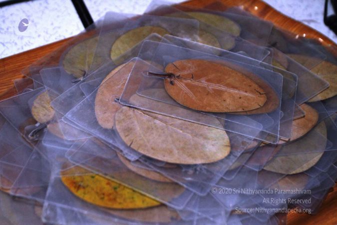 20170207 Photo 112 1DbfS9MQ6G5EY4vZ84sTvxzkzAgV3KlwG.jpg