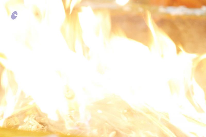 File:20170207 Photo 259 1TdpdaRz3oqmu2hbq5reIBABKHTmBvMYV.jpg