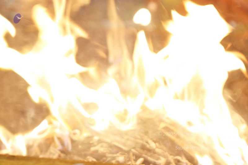 File:20170207 Photo 260 1ZmOFCqM9UocFFVXiTY-uwokSVjdD0rU4.jpg