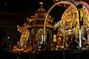 20170207 Photo 295 1cYtcNF3W095M3v3mZN1QfFS 1uw8cLXk.jpg