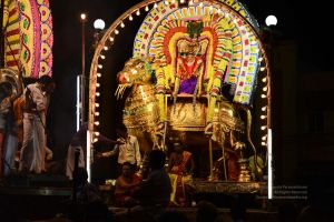 20170207 Photo 306 157KpoO1JieZyxMQ0faaA-hIwY5NoCn8T.jpg