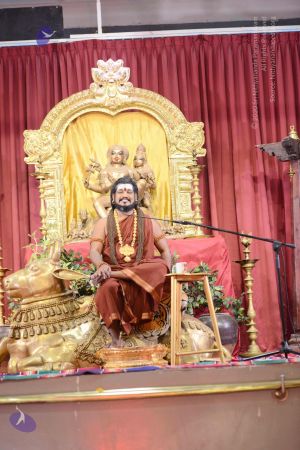 20170210 2332 CMP WM.jpg