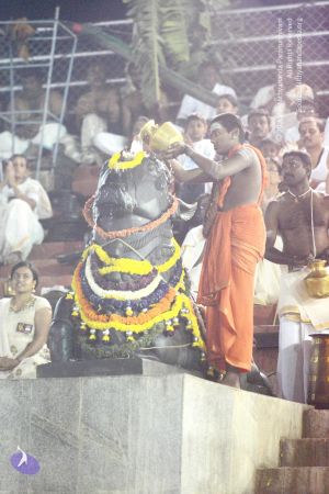 20170224 Photo 1051 1U4SJmbzZQJixch6PTMPmQdTY9Mti7U1v.JPG