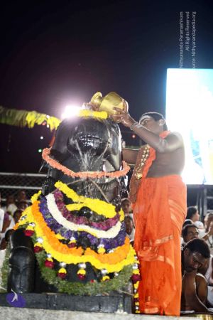 20170224 Photo 1057 10WqMgP5x0qponc2XceGxuIxQZYhoV Pi.JPG