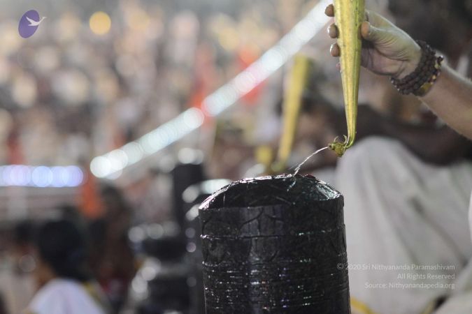 20170224 Photo 1369 1A6GbvKeV6blJPwnKZxRxeIOGHuDfSDJ5.JPG