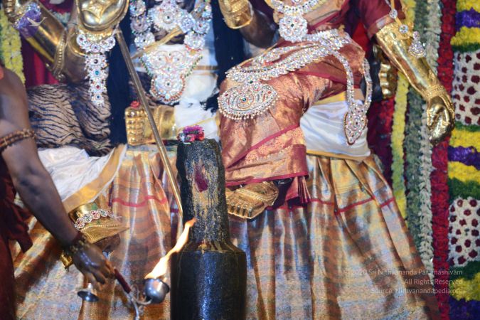 20170224 Photo 2298 1X7PWpA3dkNnL5sjEvJVqPXpTaTkPX1bu.JPG