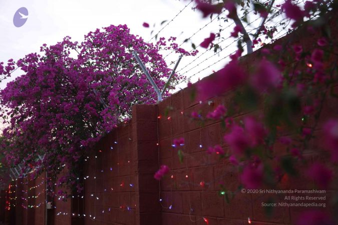 20170311 Photo 1068 1AHLTSMFtDQiaJM9dmmXY6e9uowlELZ-L.JPG