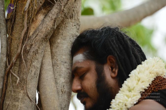 20170311 Photo 1210 19TGZxVzVteuj2m5 v2BkRC4 9zqLkEU4.JPG