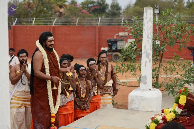 20170311 Photo 1261 1wLyW-3SNK4vwAkOLR9VVzLOLA3GbXq0o.JPG