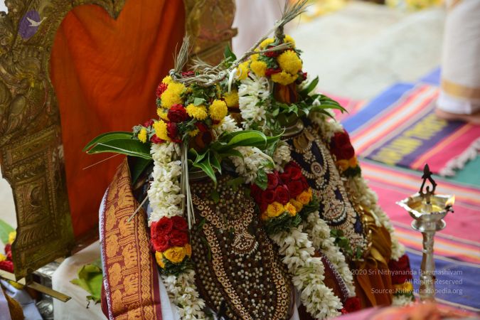 20170316 Photo 1031 1g Ln58CCKWoZMK iE-K2p6IGV4N7hsrF.JPG