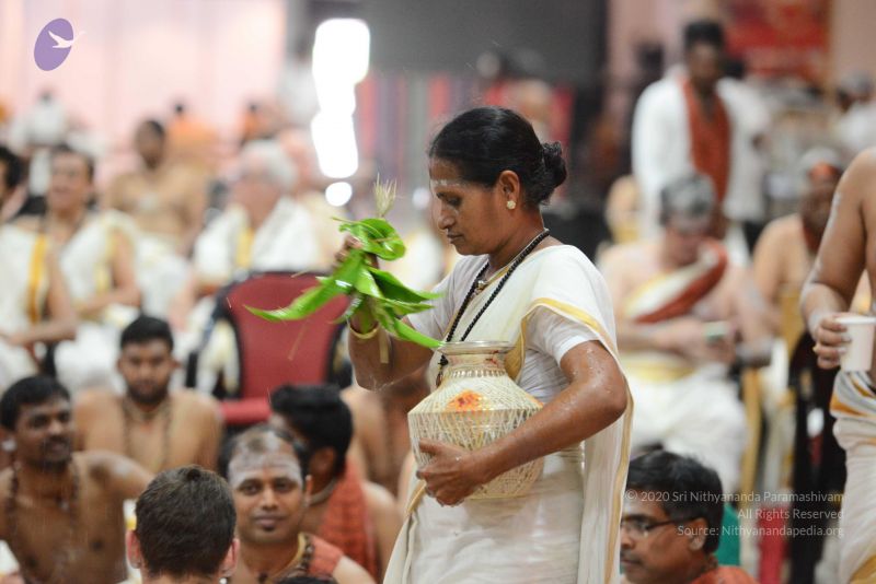 File:20170316 Photo 1123 1DmbQzJlX5kf4DsvhCcGdF Uc1HzlM8SW.JPG