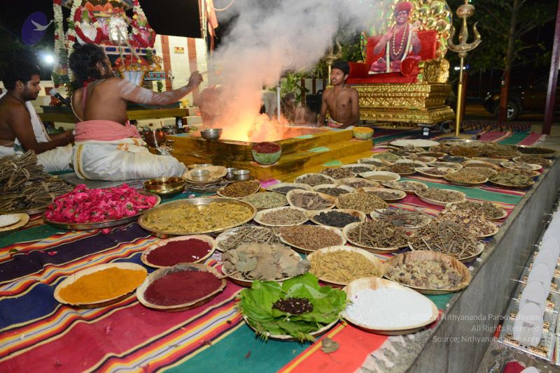 File:20170316 Photo 1308 1OBFT0RkCEouiUGVtE6PLjLMhEN4vVRlx.JPG