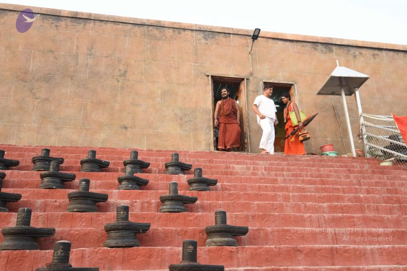 File:20170326 Photo 1474 1MYb7joZ-uOtvgBwcXunbkPVM0MEufhI .JPG