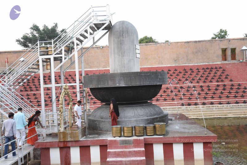 File:20170326 Photo 1536 1Xmjh-8M0UV-F8rZfFm8dyGIqDddgExoE.JPG