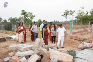 20170326 Photo 1624 1XjTB6qaNPwTvbuII1xNeKm1X7g2PBUsU.JPG