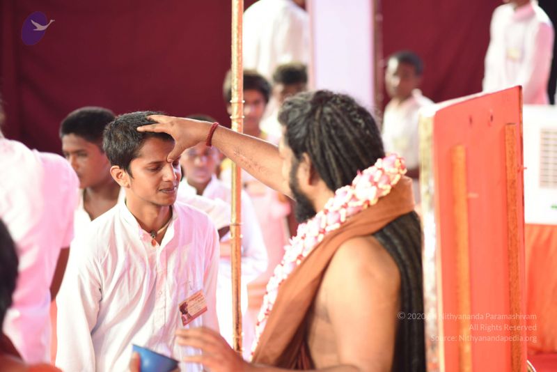 File:20170402 Photo 2389 1AsDDEy7aKVBv5h7sF3QFD9eZVCCLE48z.JPG