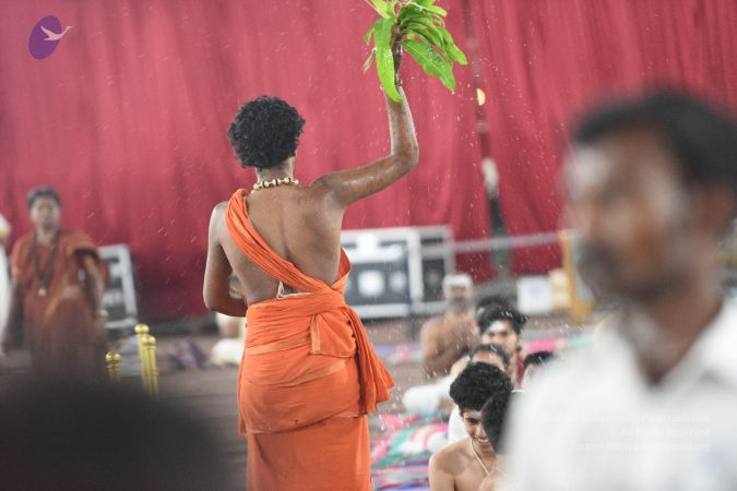 20170403 Photo 1281 1O0vJaHwaDSDUATOslnS1lITq3 tiaOgE.JPG