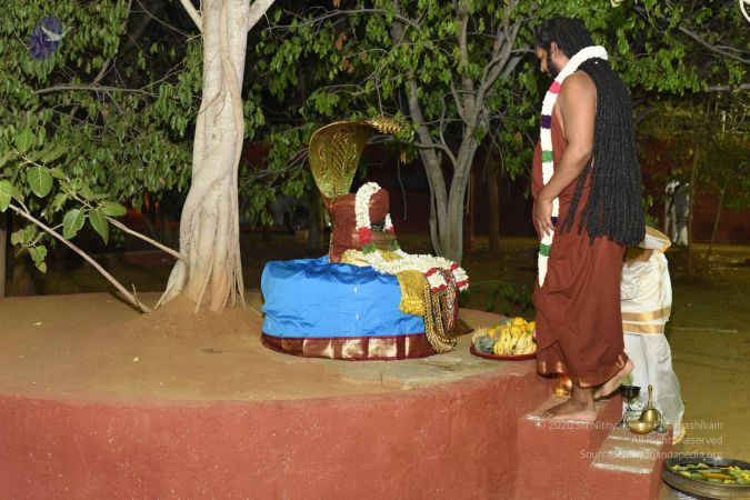 20170409 Photo 1087 1~pPzZ1eDtJzpbKVH3lMVMy9t1Y0eUhK.JPG