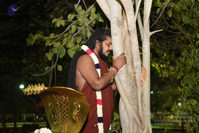 20170409 Photo 1089 1wSgncVVUUJ2m6nD mABAwtE7D2pnxP9-.JPG