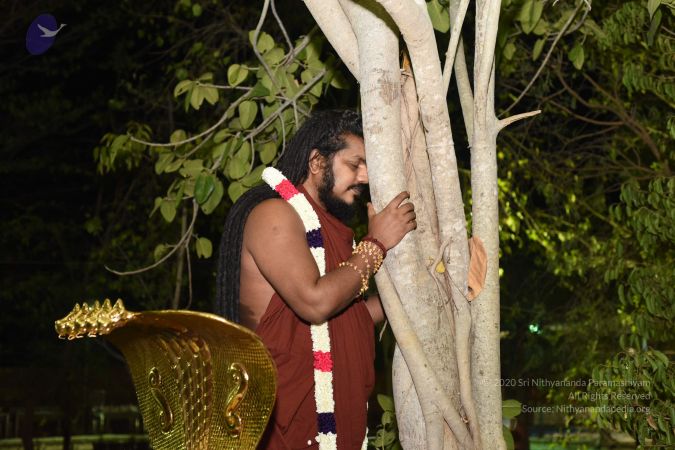 20170409 Photo 1090 1Vu3eSEqyEQtQJdygYkUM4 H YiwkV4A4.JPG