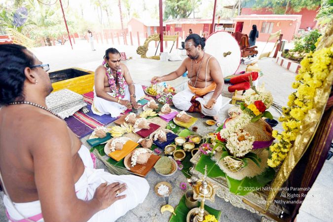 20170417DSC 2241 CMP WM1111.jpg