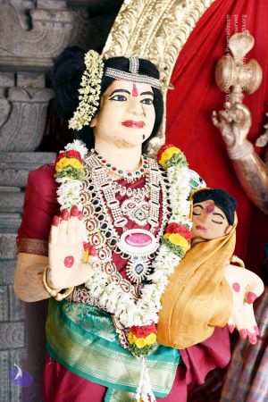 20170417DSC 2290 CMP WM1111.jpg