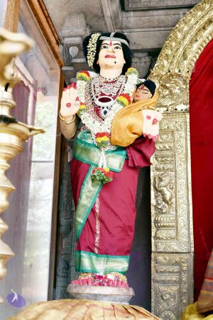 20170417DSC 2300 CMP WM1111.jpg