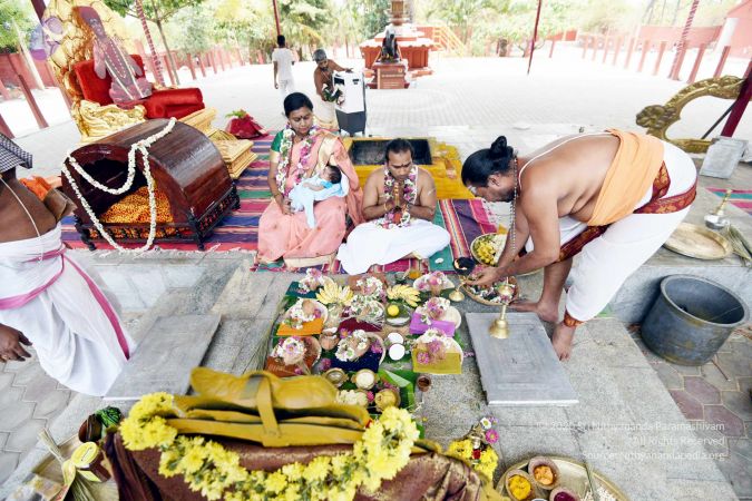 20170417DSC 2331 CMP WM1111.jpg