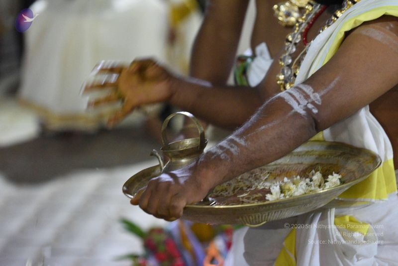 File:20170502 Photo 1009 1oV6KpOx50UrloSlSAyGM1HkNEd2UqbXB.JPG