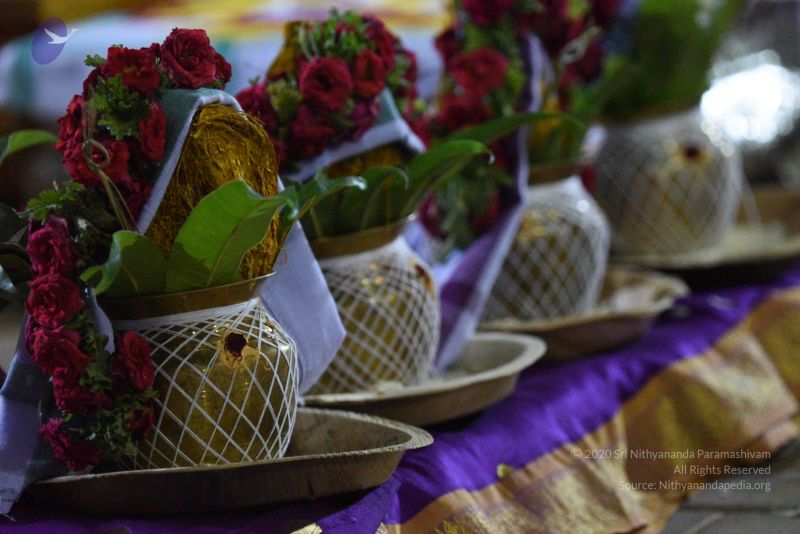 File:20170502 Photo 1017 12Mls7Rf6HmqQfoaw2kbNO0C7DFAKAzpu.JPG