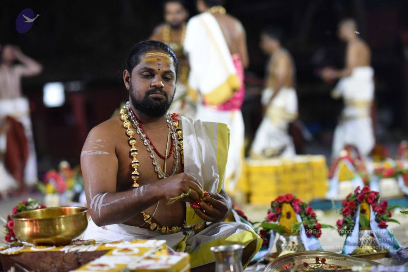 File:20170502 Photo 1029 1zcsNGqr5Ff8b4wA8J9bRFHUSVQmDIJiN.JPG