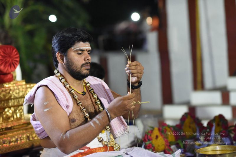 File:20170502 Photo 1032 1bwhSk tBn0HvizEJVJfG3MpDW6pnRtoZ.JPG