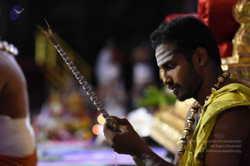 File:20170502 Photo 1040 1w6KZngFDsgI1FjMnwpBY0uB2f9w4o92n.JPG