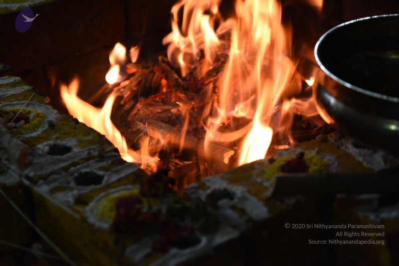 File:20170502 Photo 1139 1rE1p-Txv-lP3wFsmWbZY4rxQiroVEEKb.JPG