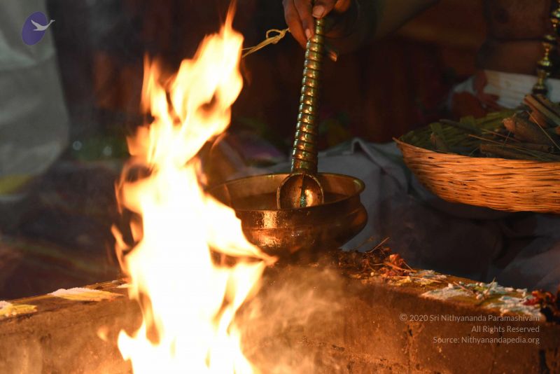 File:20170502 Photo 1142 1rMLRnrO7MJ35Rl4cd6qSJQgXSwxl5gES.JPG