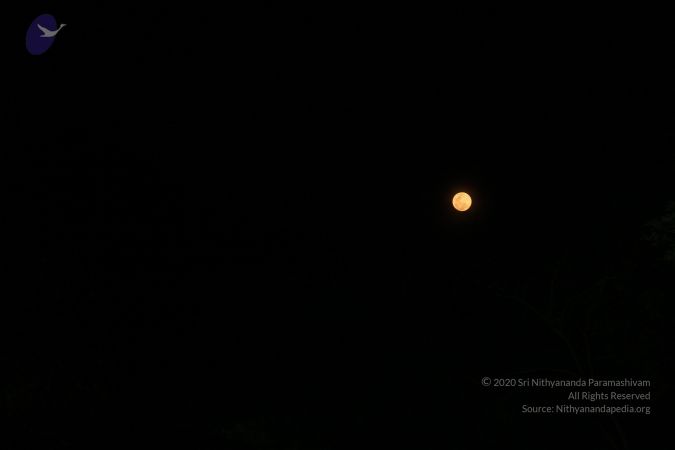 20170510 Photo 1110 1FAdt9N-T7RFQij2Q5dUyV17Vuo7jQOmI.JPG