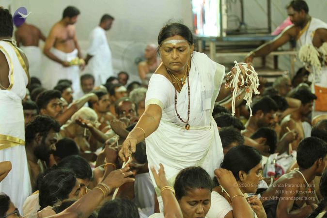 20170510 Photo 1553 1u-stqk-BkAmM38Nj3dKPqtKdSEPTtetR.JPG