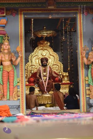 20170512 Photo 1254 1Z7Aclkyq8mKZw1OLQw5NlFMkxOfXEYSQ.JPG