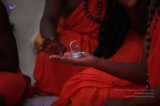 20170520 Photo 1048 1f5cQXmLC4zi8AJPy4DzAGcnnyLbHuwje.JPG