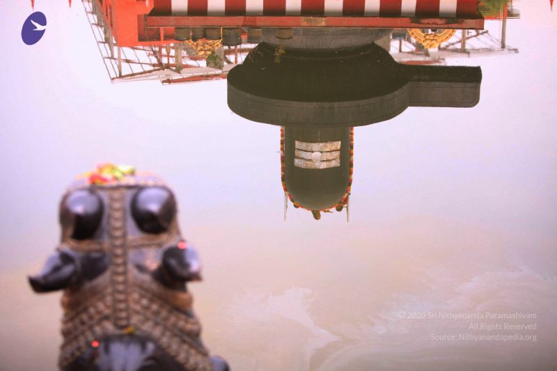 File:20170522 Photo 1021 1g2GjZWSqH7QKz4HiE8iwX-finWQDYaM0.JPG