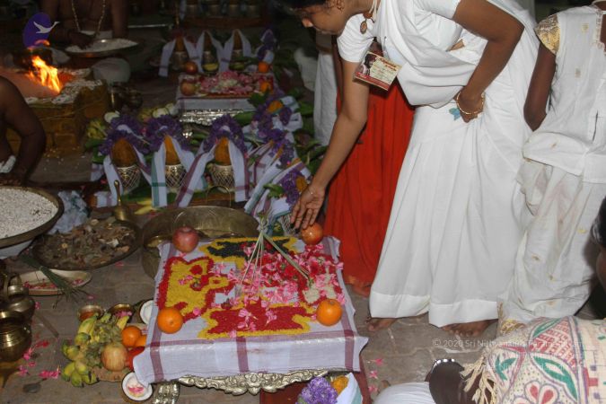 20170526 Photo 1880 1f5jBXWVVhQL0TZ4YRLngFUtNtM91NMUV.JPG